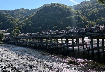 渡月桥第 75 张图片