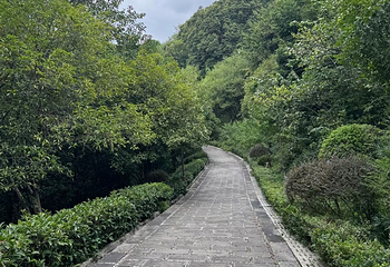 鸿恩寺公园第 133 张图片