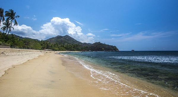 大东海旅游区-滑行龙