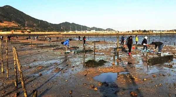霞浦牛屿滩涂赶海体验中心