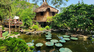 Viewpoint Đầm sen Hang múa