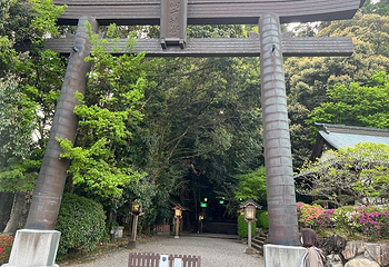 高千穗神社第 12 张图片