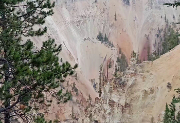 诺里斯间歇泉盆地第 19 张图片