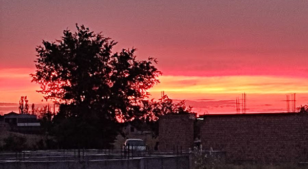 メチェチ・チルピクティ