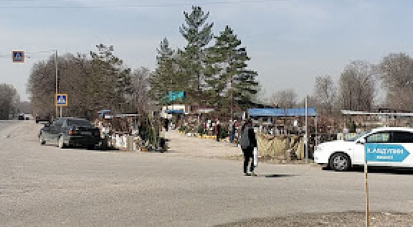 Дендропитомник 