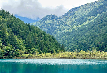九寨沟风景区第 355 张图片