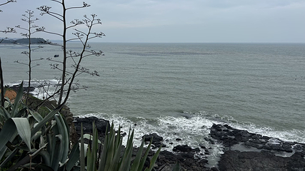 火山岛旅游休闲度假区第 112 张图片