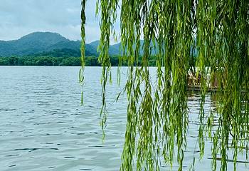 西湖风景名胜区第 211 张图片