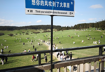 仙女山国家森林公园第 100 张图片