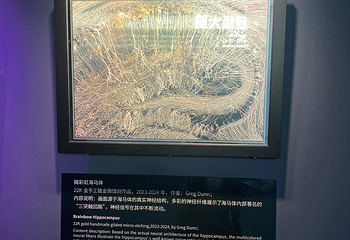 深圳科学技术馆第 19 张图片