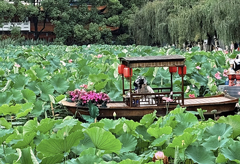 翠湖公园第 35 张图片
