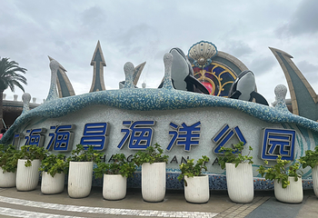 上海海昌海洋公园第 180 张图片