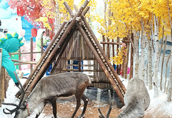 正佳企鹅冰雪世界第 24 张图片