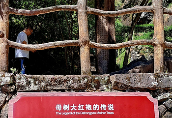 武夷山国家公园第 113 张图片