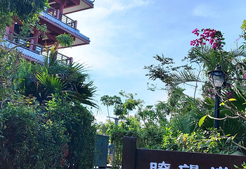 临春岭森林公园第 39 张图片