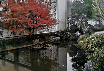 西湖风景名胜区第 430 张图片