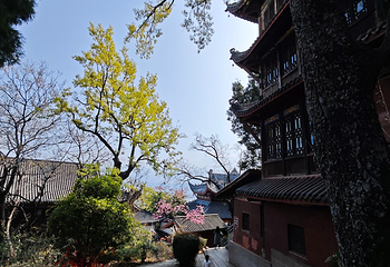 泸山第 24 张图片