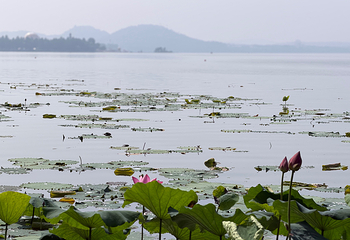 东湖生态旅游风景区第 27 张图片