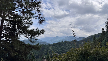 西溪森林温泉度假村第 31 张图片