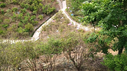 篁岭杜鹃主题园第 1 张图片