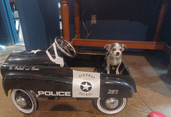 Greater Cincinnati Police Museum第 6 张图片