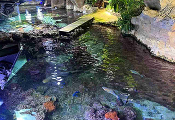 热那亚水族馆第 19 张图片