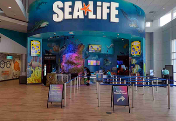 奥兰多海洋生物水族馆第 7 张图片