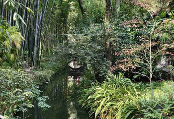 杜甫草堂第 417 张图片
