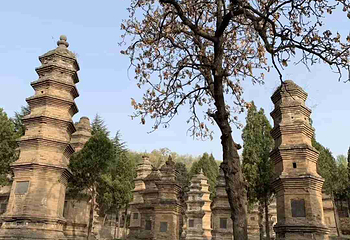嵩山少林景区第 38 张图片