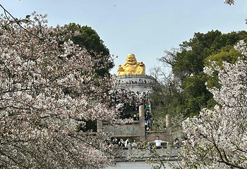 苏州上方山国家森林公园第 57 张图片