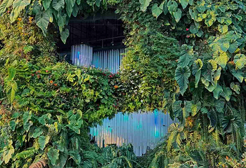 新加坡滨海湾花园第 156 张图片