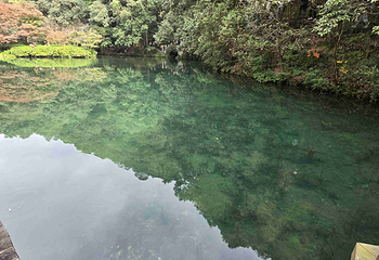 西湖风景名胜区第 394 张图片