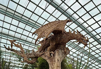 新加坡滨海湾花园第 344 张图片