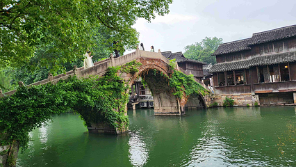 乌镇西栅景区第 101 张图片