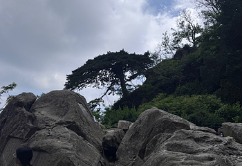泰山风景区第 410 张图片