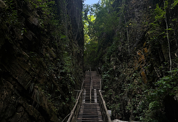 张家界大峡谷第 110 张图片