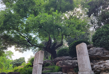景山公园第 62 张图片