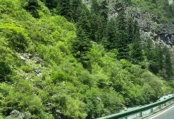 四姑娘山双桥沟景区第 164 张图片