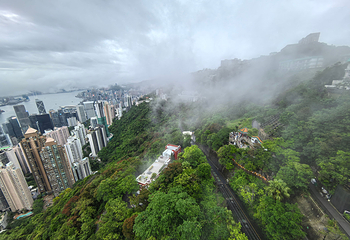 太平山顶第 144 张图片