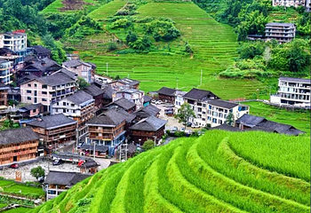 龙脊梯田第 141 张图片