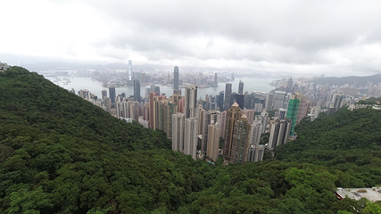 太平山顶第 225 张图片
