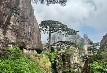 黄山风景区第 46 张图片
