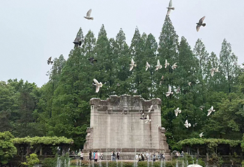 钟山风景名胜区第 68 张图片