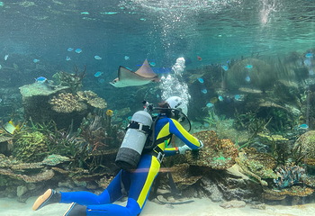 名古屋港水族馆第 41 张图片
