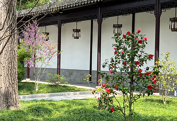 虎丘山风景名胜区第 171 张图片