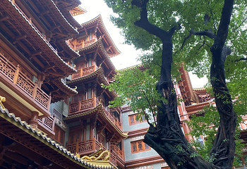 大佛古寺第 144 张图片