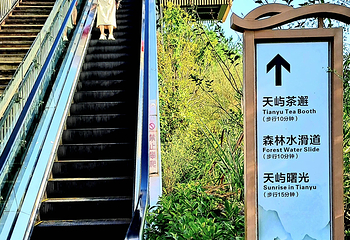 千岛湖中心湖区第 54 张图片