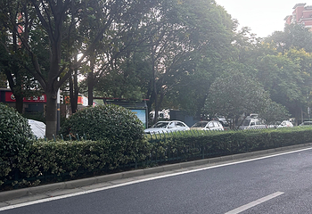 钟山风景名胜区第 209 张图片