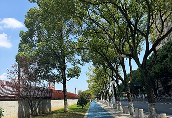 浔阳江景区第 18 张图片