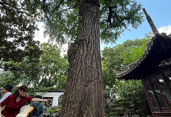 豫园第 288 张图片